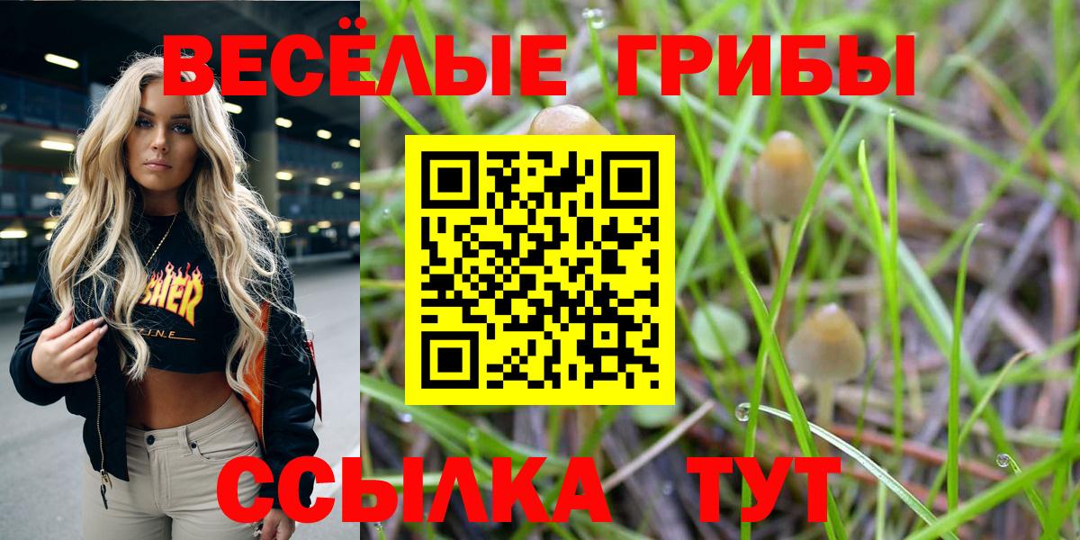 Псилоцибиновые грибы Magic Shrooms  Вход с VPN  где найти   Россия 